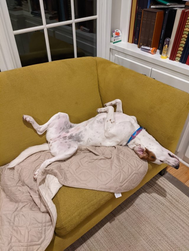 Graceful